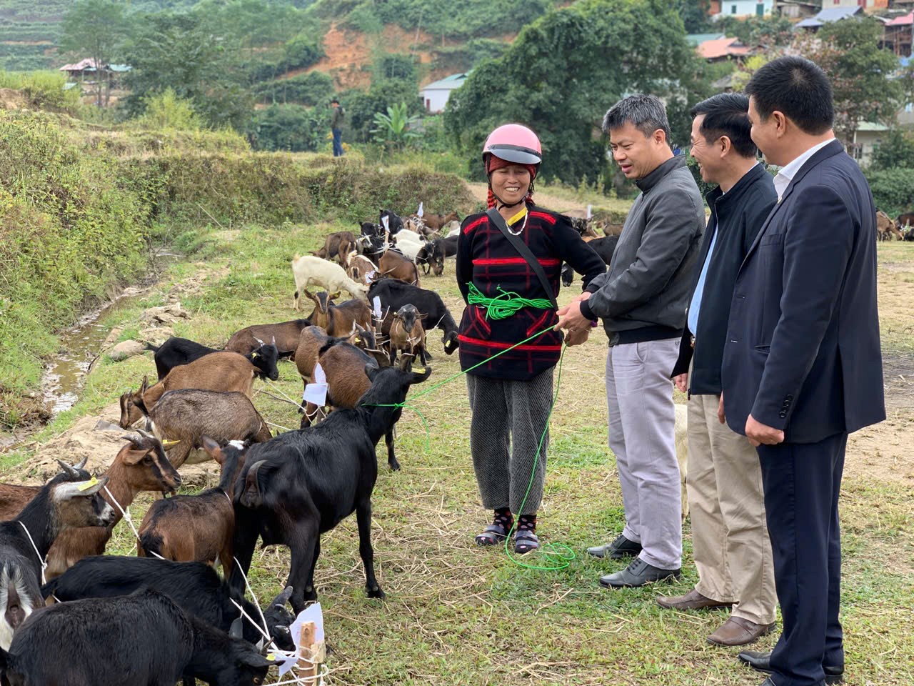 Hỗ trợ sinh kế cho đồng bào dân tộc thiểu số tỉnh Điện Biên
